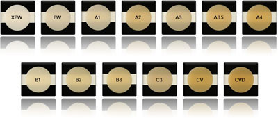 G-AENIAL shade guide