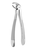 Forceps - lower premolar