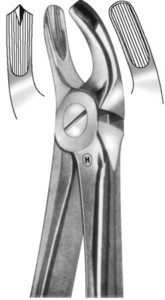 fig.18, English pattern, gornji kutnjaci, lijevo