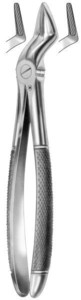 fig.51, English pattern, gornje korijenske
