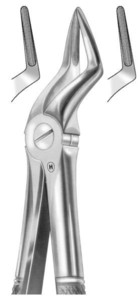 fig.51A, English pattern, gornje korijenske