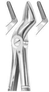 fig.52, English pattern, gornje korijenske