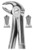 fig.22, English pattern, donji molari
