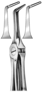 fig.46, English pattern, donje korijenske
