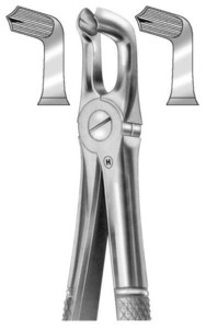 fig.79, English pattern, donji treči molari