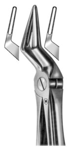 GRIFFI, fig.51A, English pattern, gornje korijenske