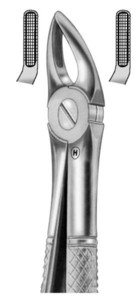 fig.7, English pattern, s protukliznim držanjem, gornji premolari s obje strane