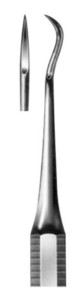 Abott, fig. 3